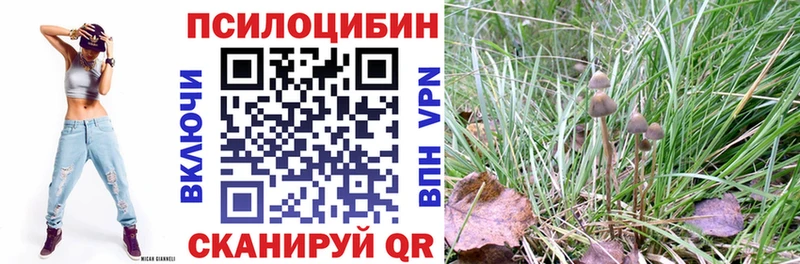 Псилоцибиновые грибы MAGIC MUSHROOMS  Коммунар 